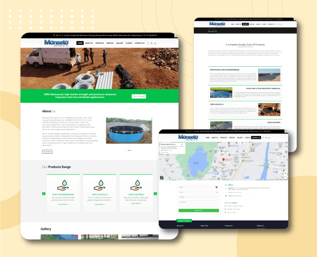 Website Design Case Study for Moneeto